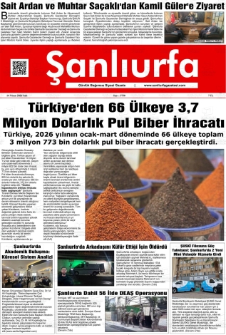 Son Sayı
