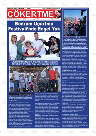 Son Sayı