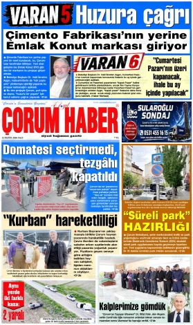 Son Sayı