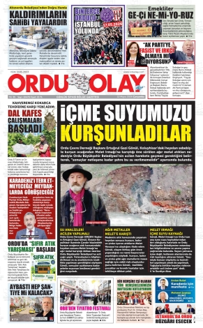 Son Sayı