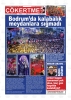 20.05.2026