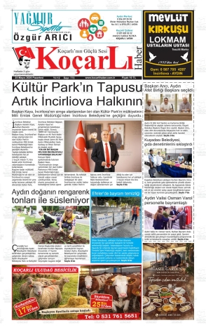 Son Sayı