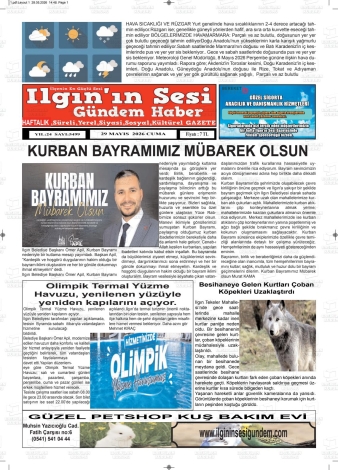 Son Sayı