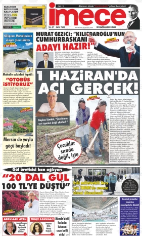 Son Sayı