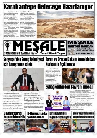 Son Sayı