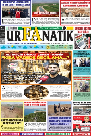 Son Sayı