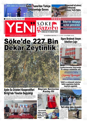 Son Sayı