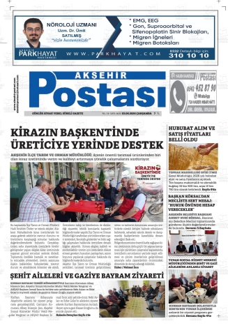 Son Sayı