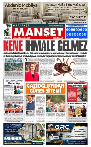 Son Sayı