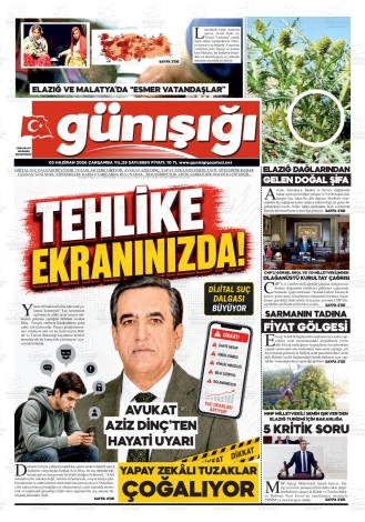 Son Sayı