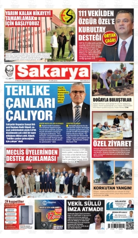 Son Sayı
