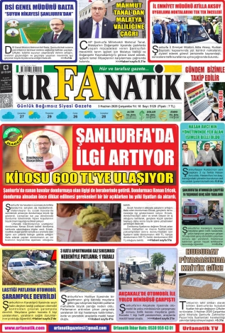 Son Sayı