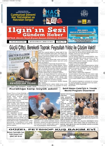 Son Sayı