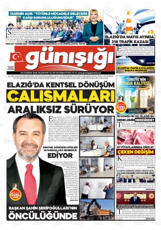 Son Sayı