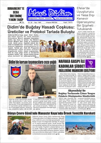 Son Sayı