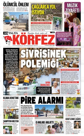 Son Sayı