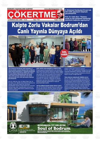 Son Sayı
