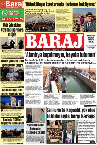 Son Sayı