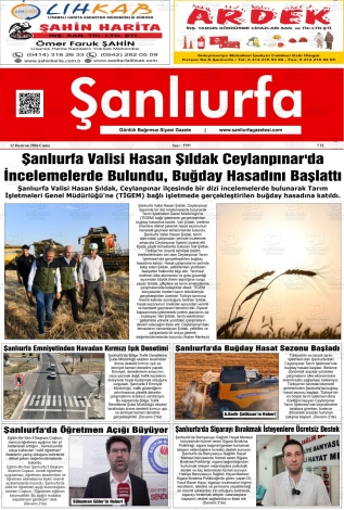 Son Sayı