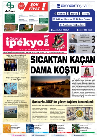 Son Sayı
