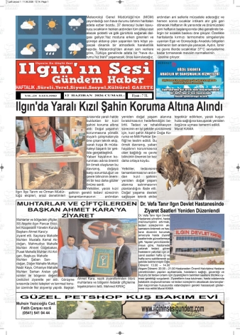 Son Sayı