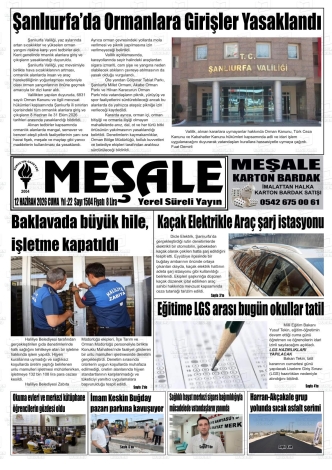 Son Sayı