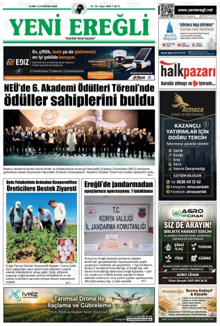 Son Sayı