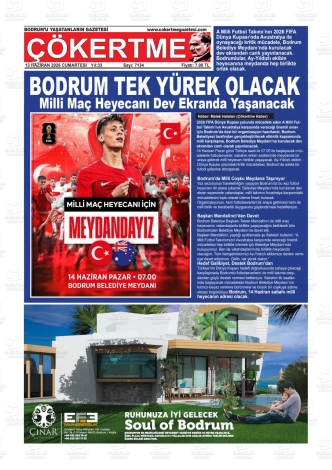 Son Sayı