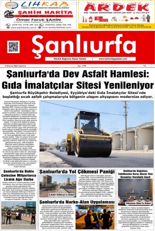 Son Sayı