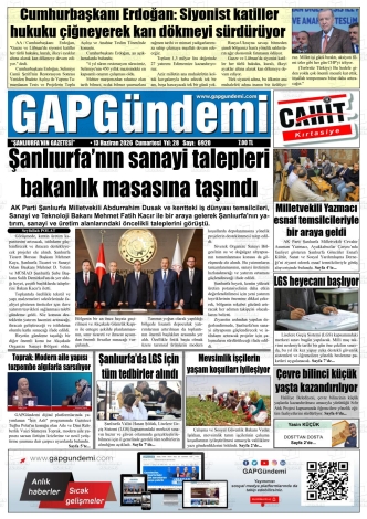 Son Sayı