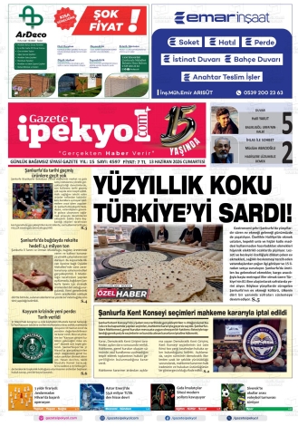 Son Sayı
