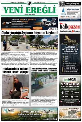 Son Sayı