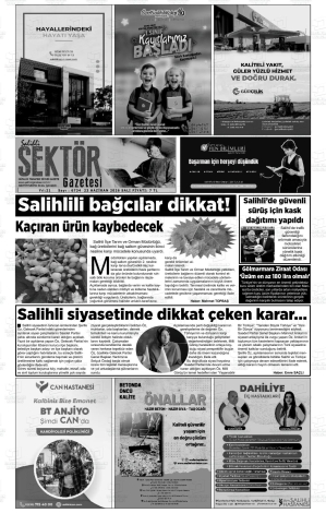 Son Sayı