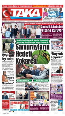 Son Sayı
